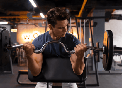 MAX Titanium Beta-Alanina (Original)