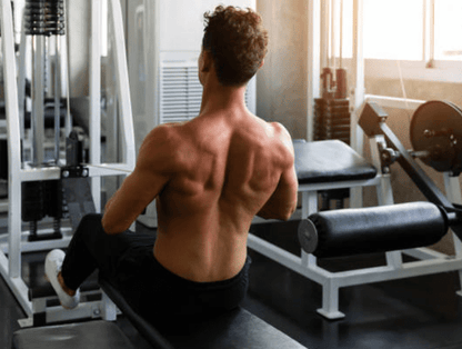 MAX Titanium - L-G – L-Glutamina (Original)